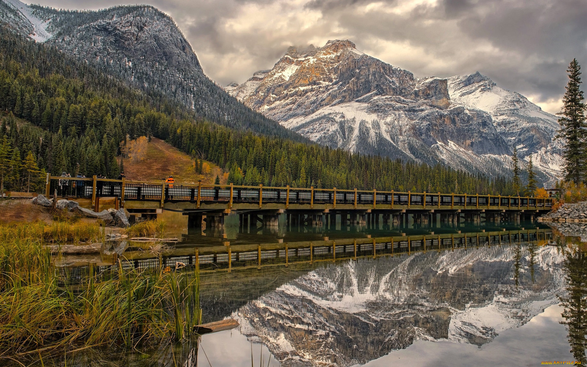 emerald lake, yoho national park, british columbia, canada, , - , emerald, lake, yoho, national, park, british, columbia
